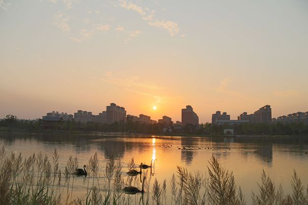 IMG_2847.JPG