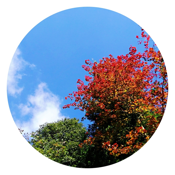 D:\2018年照片\10月\10.9全州法院前三季度工作推进会\4.jpg