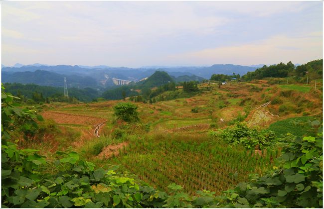 山乡新貌-1.jpg