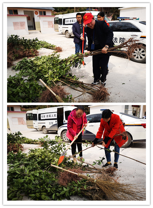 春分过,暖风扬,正是植树好时节1.jpg